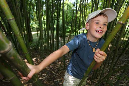 9 Beautiful Botanical Gardens in Connecticut!