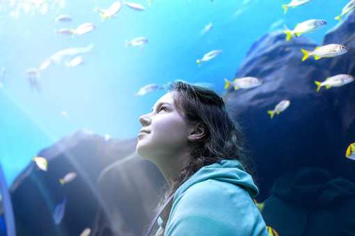 The 9 Best Museums in Connecticut!